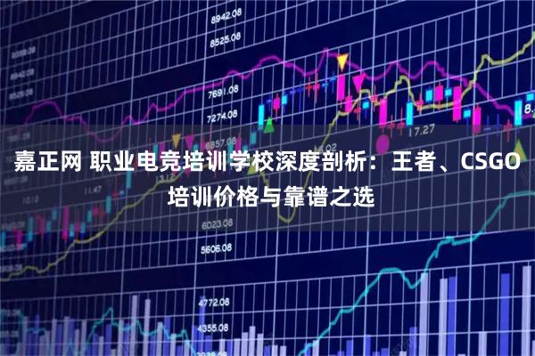嘉正网 职业电竞培训学校深度剖析：王者、CSGO 培训价格与靠谱之选
