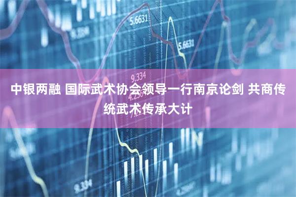 中银两融 国际武术协会领导一行南京论剑 共商传统武术传承大计