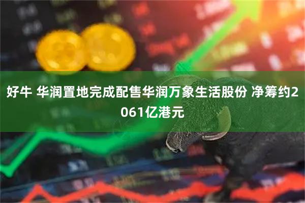 好牛 华润置地完成配售华润万象生活股份 净筹约2061亿港元